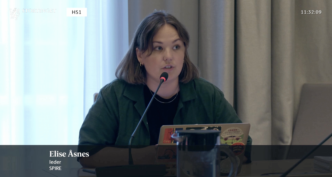 Spire-leder Elise Åsnes har ordet undre høringen i næringskomiteen om jordbruksoppgjøret. Hun har på seg en grønn kortermet skjorte over en svart t-skjorte. 